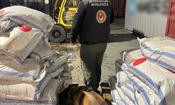 Gümrüklerde 828 milyon liralık uyuşturucu operasyonu
