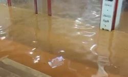 Hatay'da Çoban Kuzuları Selden Son Anda Kurtardı