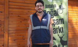 Kaçak bakılan uçan sincaplar rehabilitasyona alındı