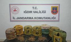 Kaçak keklik avcılarına ceza