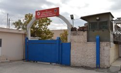 Kardeşini vurarak öldüren şüpheli tutuklandı