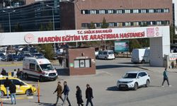 Mardin'de feci kaza: 1 ölü