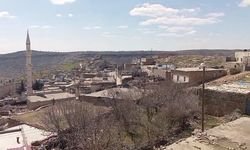 Mardin'de inekteki kuduz şüphesi üzerine mahalle karantinaya alındı