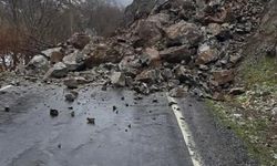 Şırnak'ta köy yolu ulaşıma kapandı