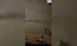 Tartıştığı kadını tabancayla yaralayıp intihar etti