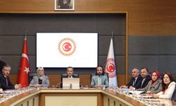 TBMM çocuk istismarı raporu açıklandı