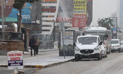 Van mart sonu beyaza büründü