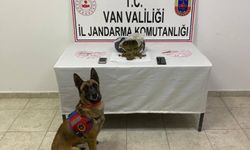 Van’da mezarlık yakınında 1 kilo skunk ele geçirildi