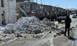 Van'da termometreler eksi 18'i gördü, hayat dondu