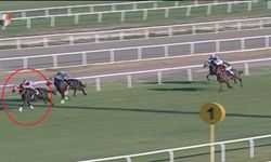 Yarış atı skandalında at sahibine idari para cezası