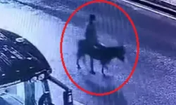 Kayseri’de ilginç soygun: Forkliftle kepenk kırdı, altınları eşekle taşıdı