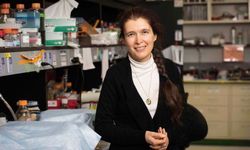 Uzun Yaşamın Kapısı Açıldı: Bilim İnsanları “Uzun Ömür Genini” Başarıyla Nakletti