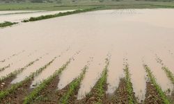 Bazı illerde etkili olan sağanak ve kar hayatı olumsuz etkiledi