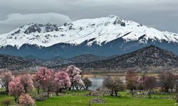 Beyşehir'de iki mevsimin güzelliği bir arada yaşanıyor