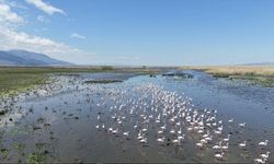 Eber Gölü’nde su seviyesi yükseldi