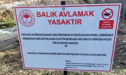 Geminbeli bölgesinde balık avı yasaklandı
