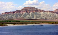 Nallıhan Kuş Cenneti göçle canlandı: 200 kuş türü bölgeye akın ediyor