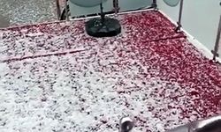 Adana sokakları beyaza büründü