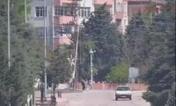 Amasya'da alkollü sürücü kaza yaptı!