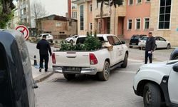 Apartman dairesinde uyuşturucu yetiştirenlere operasyon