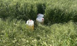 Aydın'da göçmen kaçakçılığı şüphelileri yakalandı