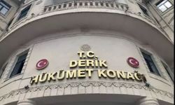 Başhekim ile sekreterini darbeden şüpheliye ev hapsi