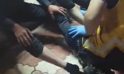 Batman'da yaban domuzu kent merkezine indi