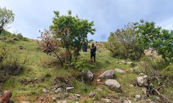 Bottan Fırat Nehri'ne düşen kampçı aranıyor