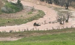 Debisi yükselen Afrin Çayı'nda traktörüyle mahsur kaldı