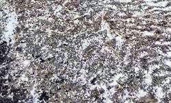 Edirne'de dolu yağışı etkili oldu