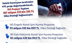 Engelli ve eski hükümlülere 187,4 milyon TL hibe desteği