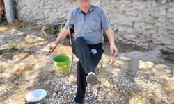 Eskişehir'de Günyüzü Kaymakamı kaza geçirdi