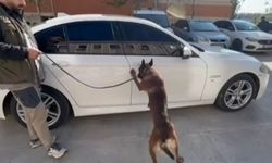 Gaziantep'te operasyon: 10 kilo metamfetamin ele geçirildi