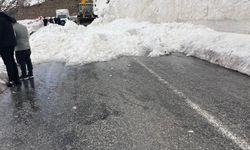 Hakkari-Şırnak Kara Yolunu Çığ Kapattı