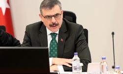 İki bakanlıktan okullarda alınacak önlemlere dair çevrim içi topantı