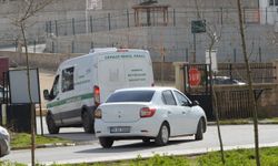 Kızıltepe'de silahlı kavga