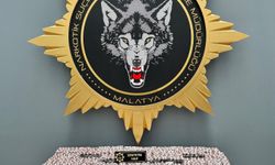 Malatya'da uyuşturucu operasyonu: 2 gözaltı