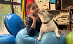 Obez köpek 'Ori' zayıflamak için rehabilitasyonda