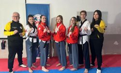 Pandemide başladı, uluslararası arenada zirveye çıktı