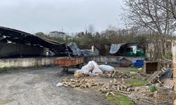 Samsun'da meyve deposunu alevler sardı