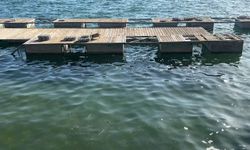 Serinlemek için girdiği gölette boğuldu