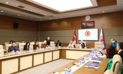 TBMM’de çarpıcı rapor: Kadın cinayetlerinde koruma kararı oranı alarm veriyor