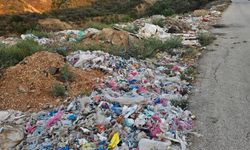 Tek kullanımlık plastik yönetmeliğine dair üretim kısıtlaması önerisi