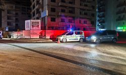 TIR'ın çarptığı yaya hayatını kaybetti