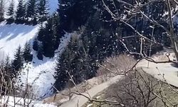 Trabzon'da çığ düştü