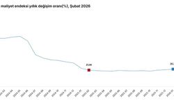 TÜİK açıkladı: İnşaat maliyeti şubatta arttı
