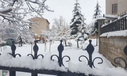 Van Başkale'de kar yağışı etkili oldu