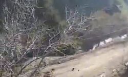 Van'da meydana gelen heyelan tedirginlik yarattı