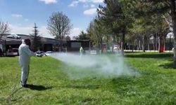 Çankaya Belediyesi Yaz Öncesi Önlemini Aldı