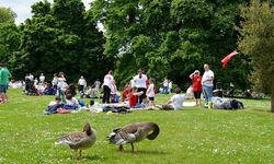 Ankara'da Nerede Piknik Yapılır? Ankara'nın 10 Piknik Yeri